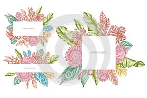 Floral frames with pastel banana palm leaves, hibiscus, solanum, bromeliad, peacock feathers, protea