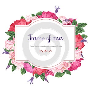 Floral frames with pink and red roses, purple clematis and green leaves, watercolor painting