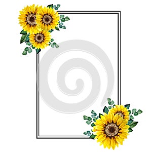 Floral Frames with Sunflowers and Leaves. Watercolor sunflower frame. White background. Watercolor floral. Botanical Drawing