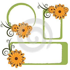 Floral frames - vector