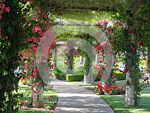 Floral garden