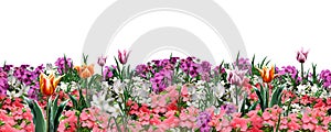 Floral garden web banner