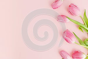 Floral Greeting card template with space for text. Pink tulips flat lay on pink background. Happy womens day. Happy Mothers day. 8
