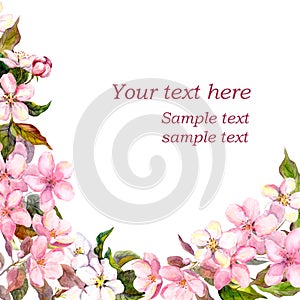 Floral greeting card. White, pink cherry sakura flowers. Watercolor