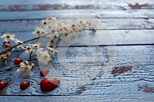 Floral greetings with a ladybird