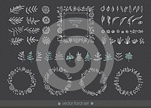 Floral hand drawn collection. Flowers, leaves, frames, decorative elements for your design. Vector set