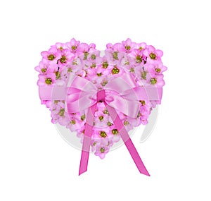 Floral heart with pink flowers of bergenia crassifolia tied with sil ribbon bow isolated on white