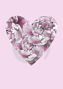 Floral heart with pink peoni flowers. Watercolor for Valentine day, wedding.