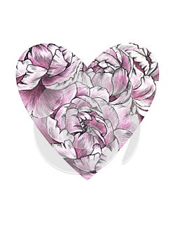 Floral heart with pink peoni flowers. Watercolor for Valentine day, wedding.