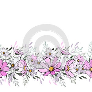 Floral horizontal border with light pink and white cosmos flower