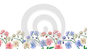 Floral horizontal border with tropical flowers, green leaves, orchid. Watercolor isolated pattern on a white background. Floral