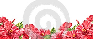 Floral horizontal border with tropical red flowers, green leaves, hibiscus. Watercolor isolated pattern on white background,