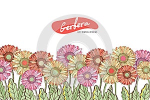 Floral horizontal postcard design with flowers by Gerber Daisy. Floral vector background. Horizontal flowers banner on white