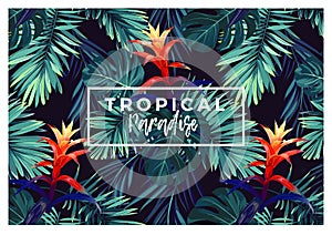 Floral horizontal postcard design with guzmania flowers, monstera and royal palm leaves. Exotic hawaiian vector