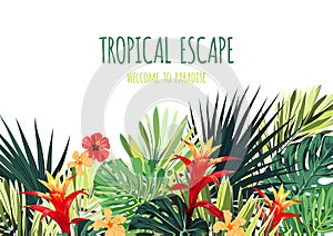 Floral horizontal postcard design with guzmania and hibiscus flowers, monstera and royal palm leaves. Exotic hawaiian vector