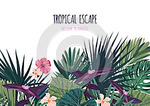 Floral horizontal postcard design with hibiscus flowers, monstera and royal palm leaves. Exotic hawaiian vector background