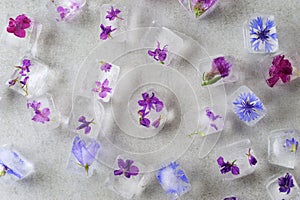 Floral ice cubes on the gray background
