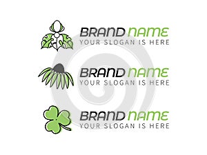 Floral icons and logo design templates, abstract emblems with echinacea flower, clover leaf.