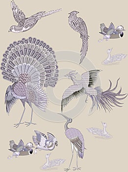 Floral illustration of birds on offwhite background for digital print.