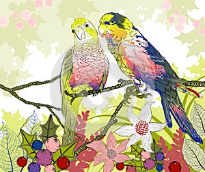 Floral illustration of a pair of budgies