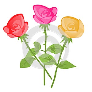 Floral illustration. rose bouquet