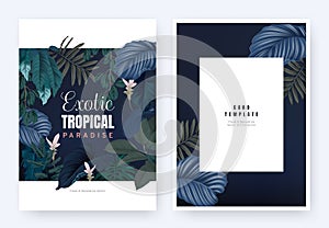 Floral invitation card template design, tropical plants and pink Curcuma alismatifolia flowers on dark blue