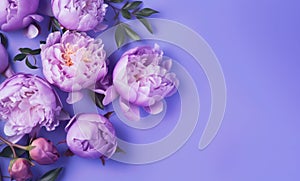 Floral Invitation from Lilac Peonies. Copy Space Image. Generative AI.
