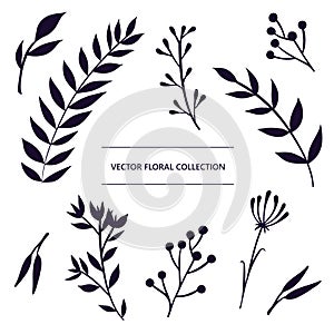 Floral isolated vector decorative elements set. Hand drawn collection of icons