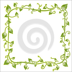 Floral leaf classic frame