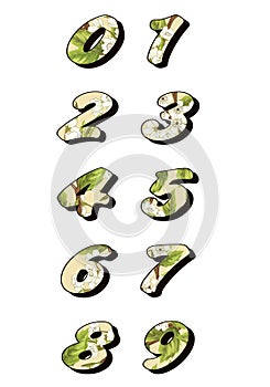 floral and leaf pattern numeral illustration