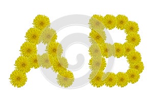 Floral letter A, B isolated on white background