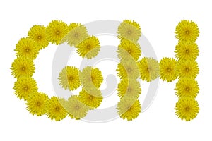 Floral letter G, H isolated on white background