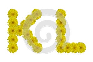 Floral letter K, L isolated on white background