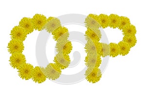 Floral letter O, P isolated on white background