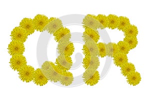 Floral letter Q, R isolated on white background