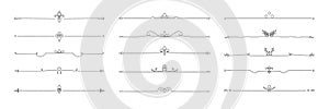floral line big set of divider design elements