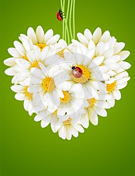 Floral love card (camomile heart) photo