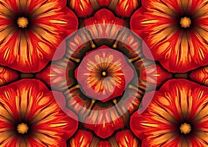 Floral Mandala Pattern