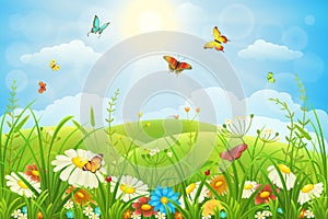 Floral meadow photo