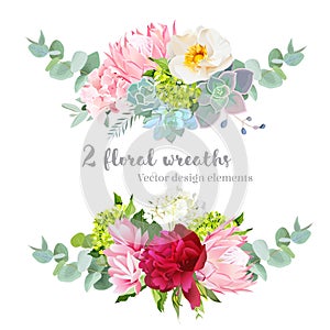 Floral mix wreath vector design set. Green, white and pink hydrangea, wild rose, protea, succulents, echeveria, burgundy red peony