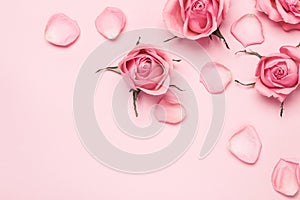 Floral monochrome composition of rose buds and petals on pink background, copy space