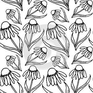 Floral monochrome echinacea endless pattern, hand drawn seamless background ink graphic art design elements