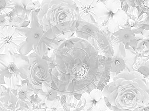 Floral mourning background