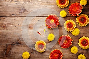Floral nature composition of beautiful yellow and orange gerbera flowers on wooden rustic table top view. Autumn concept.