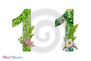 Floral number 1, botanical number made from flowers and leaves, flower number, floral numbering, botanical symbol, fancy, Nature,