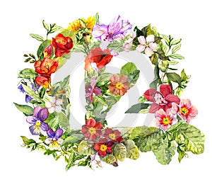Floral number 12 twelve from wild flowers and herb. Watercolor