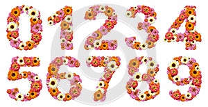 Floral numbers