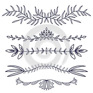 Floral ornament dividers. Hand drawn decoration. Rustic ornamental leaves . Flourish decorative dividers