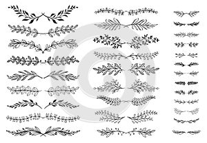 Floral ornament dividers. Ornamental leafs scroll decoration, decorative branch and hand drawn divider vector set