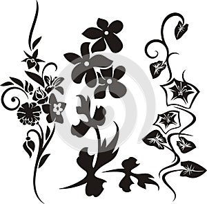 Floral ornament series
